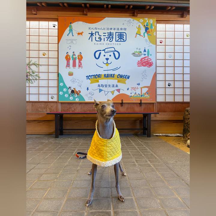 03d0584b 830b 42e1 bbd9 022510033c5c 1763721545393