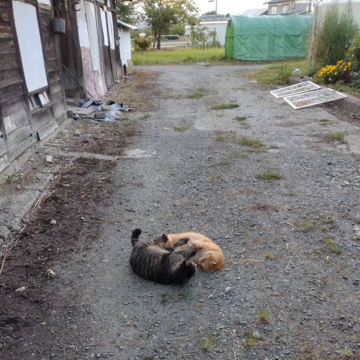 03d08118 3d77 4332 b65e 20ee6413083a 1692048249262