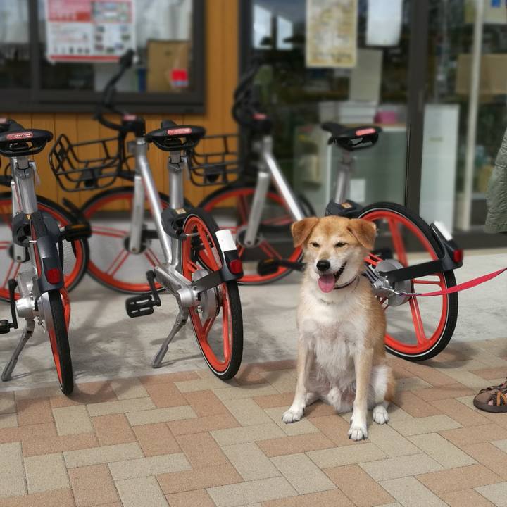 03d08ff8 d521 4b3c b1e5 0a2063f9c9cc 1536619110699