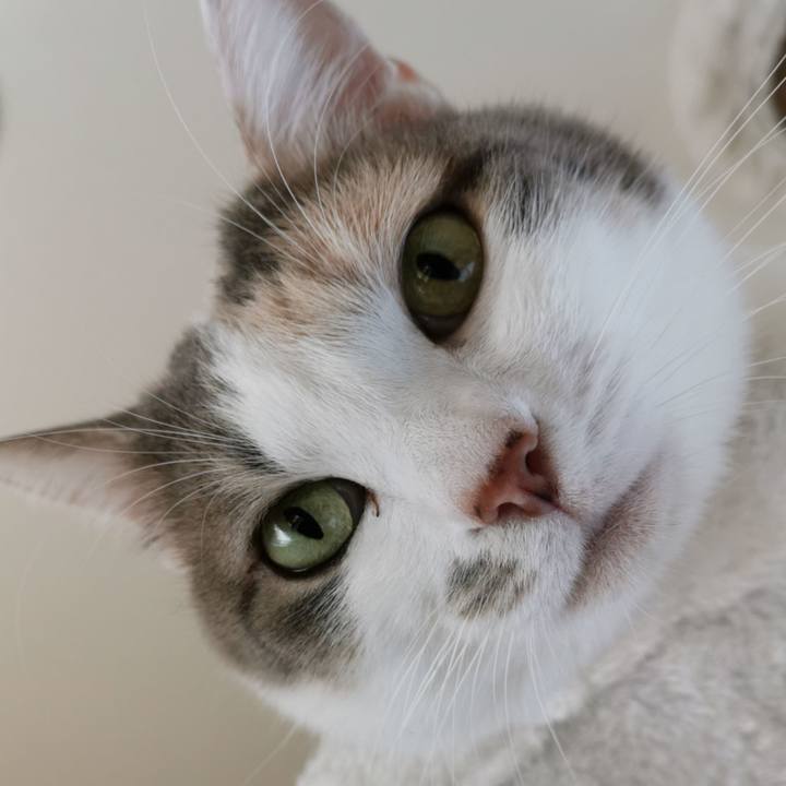 03d0cb72 5bc1 4f73 bef1 f2bd071e8eb7 1637552226311