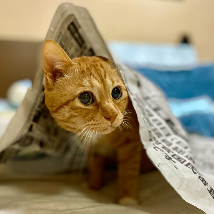 03d0d25c 566a 4a1d b347 595dcbde804d 1770678351864