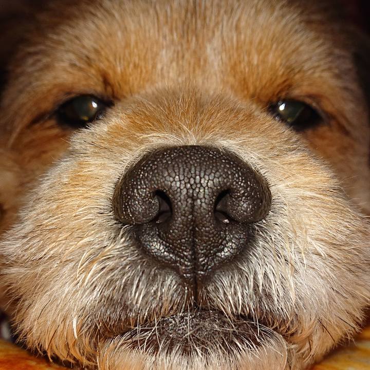 03d0e1d5 27b1 4056 8aca 4728660864be 1547731129377