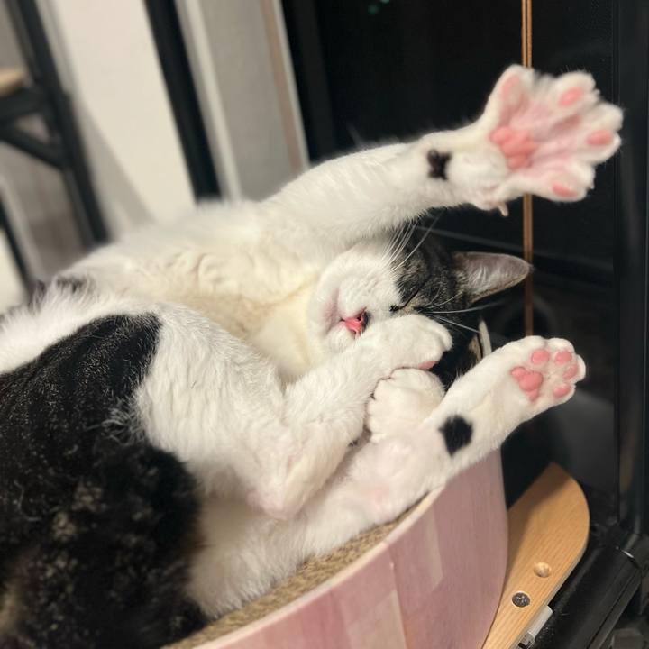 03d0ea62 bb7f 4b83 8257 eba9f064b3bd 1763132243053