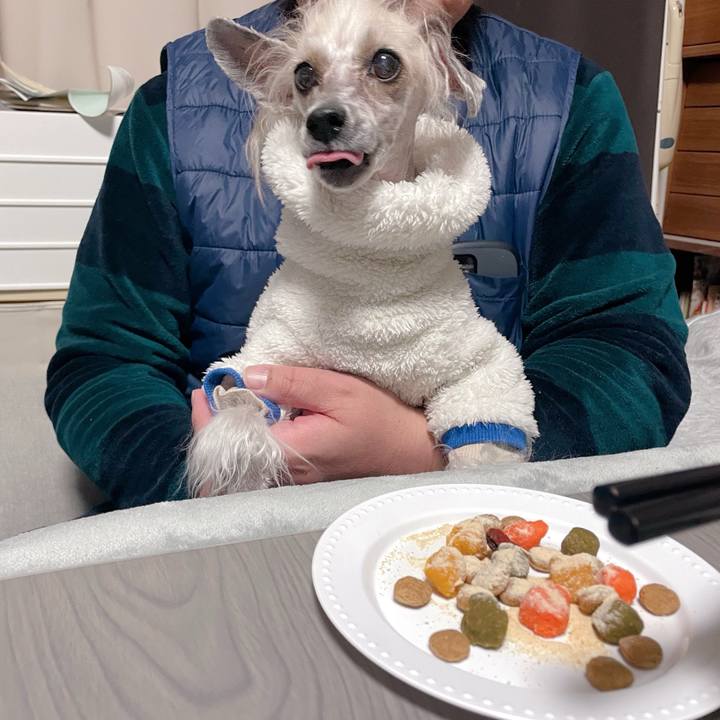 03d0efb5 1ee0 453c b9ac 779456a79c98 1767174552654