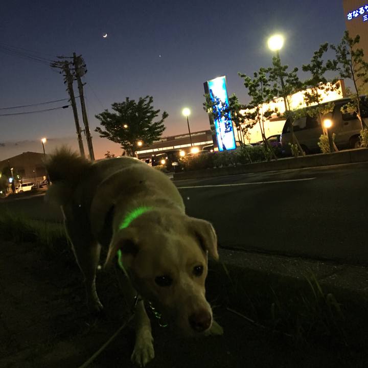 03d10e42 0f6f 488d 816e 5c0a61298928 1524052629584