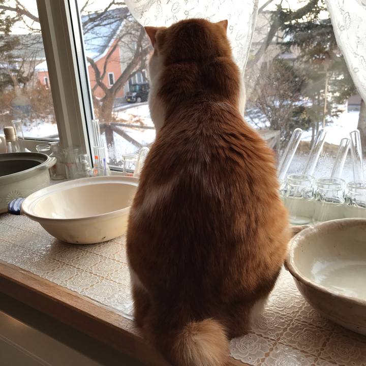 03d12a90 ad1b 4109 bd1b b953df13fc56 1577661040790