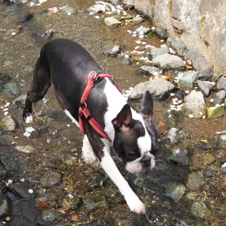 03d13427 da69 4253 a72e 699816ed4438 1523622478382