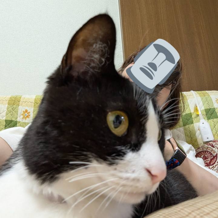 03d169fb e9ec 4f82 b249 b70055d0581a 1748411808483