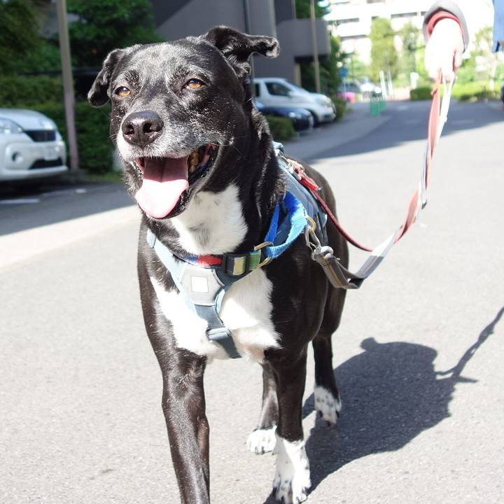 03d1914a bbfc 424b a4d2 abf7f70efcdd 1714783825145