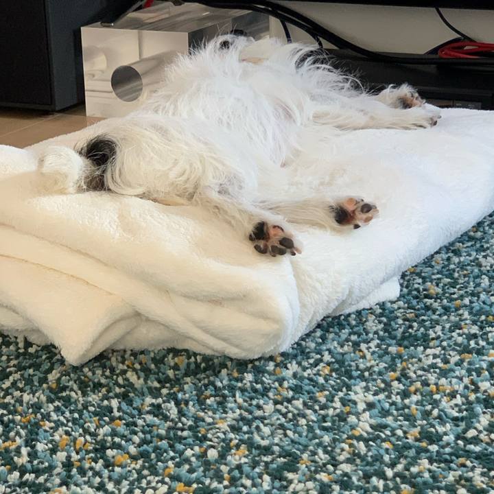 03d1a2c7 e02b 4d78 9077 2f4f83b66c30 1692072082336