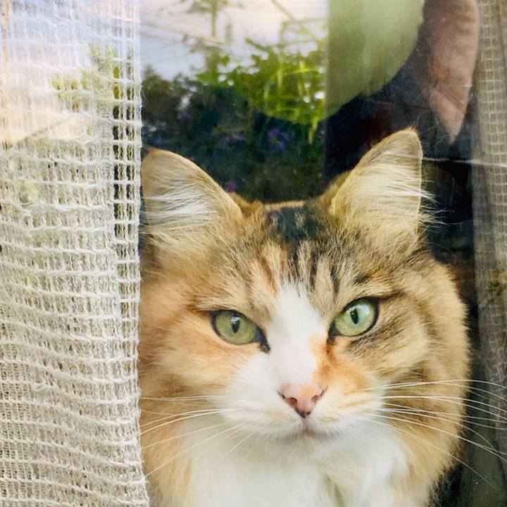 03d1e7d0 5349 4e61 bd3b 0050d93a2677 1560480184607