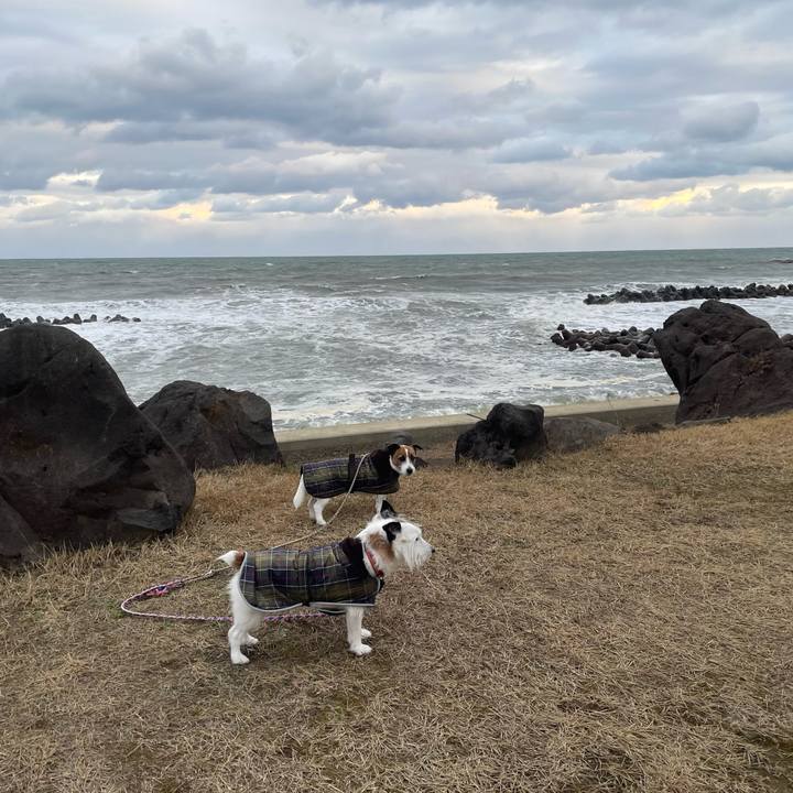 03d1f119 800f 4a3d 998b ef4e771a3d0b 1768695466858