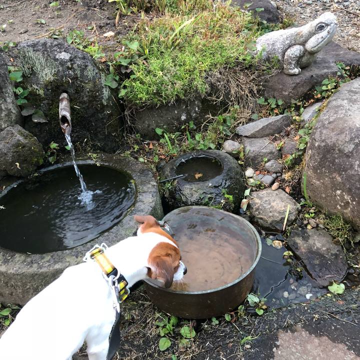 03d2622d 793e 425b bb41 815a96e89092 1532010024721