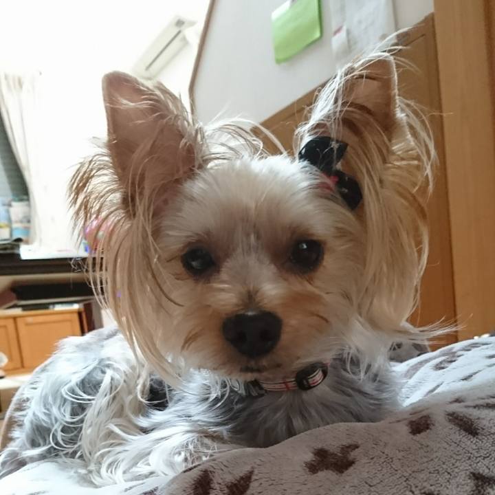 03d27619 d49c 4160 af58 9d14a9947e1d 1538274979125