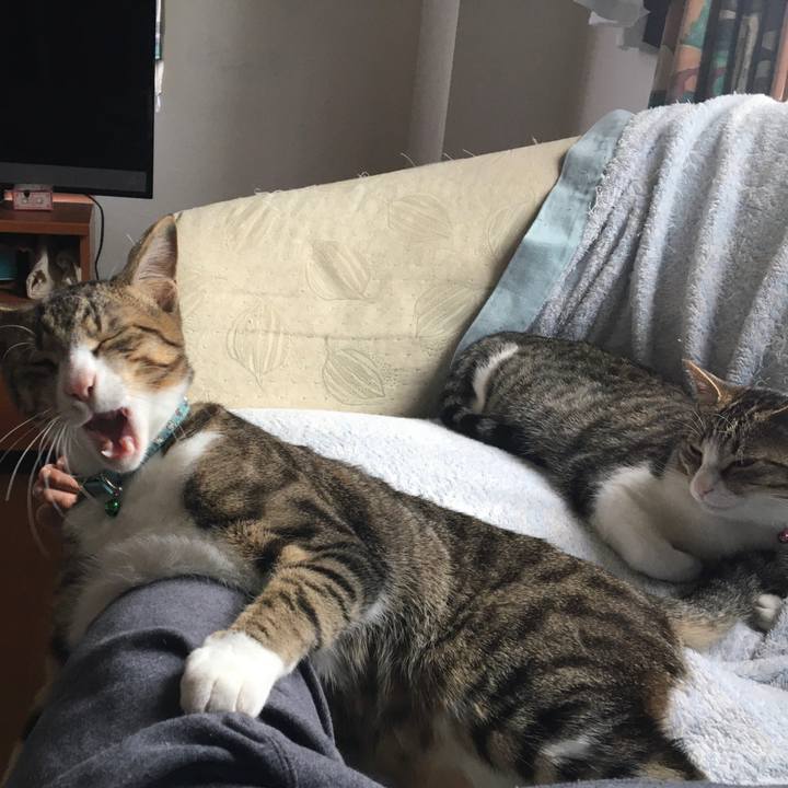 03d3055c 4364 47bc 82c5 88bb1d383d43 1667398274843