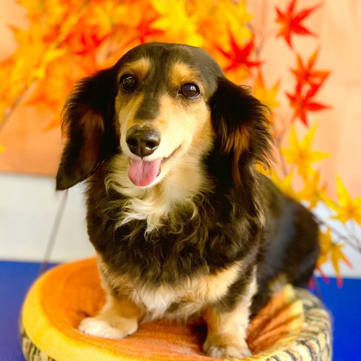 03d306c6 566d 4d31 bd94 5dd696e1b5e0 1636885511247