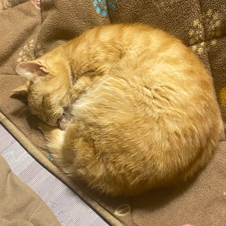 03d30b99 055b 40d3 bf39 d6451082c6c5 1611106299226