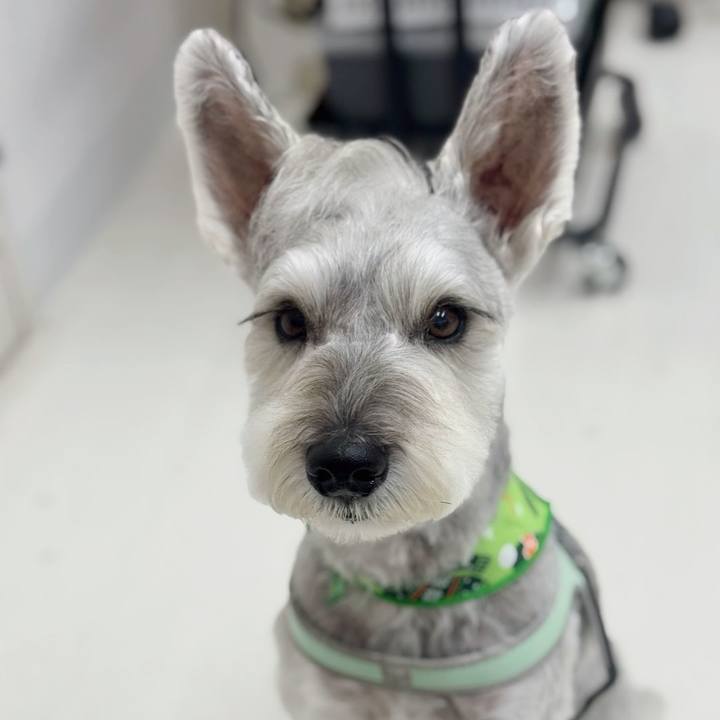 03d35f0c 2e27 4afc b6f0 ee6138d3a87b 1763267687592