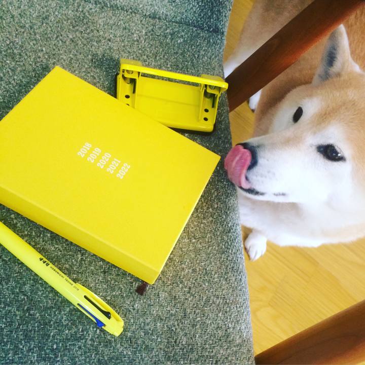 03d36622 a826 4c1d 8d93 979772ed3678 1520865708740