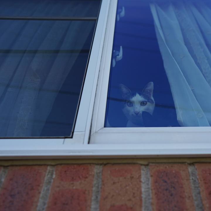 03d373d4 322b 481f ba37 2ba8b7f1b4a0 1544744715588