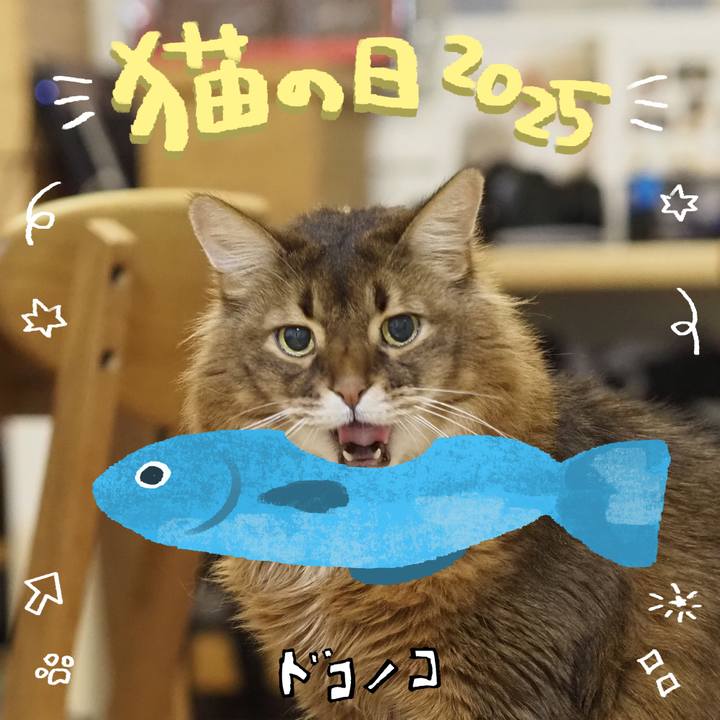 03d37b2c 4480 4ce0 baac d90cb8b2b373 1740150251569