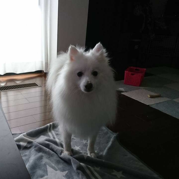 03d39eae 77df 4a7a ac94 495d490686e8 1611640032298