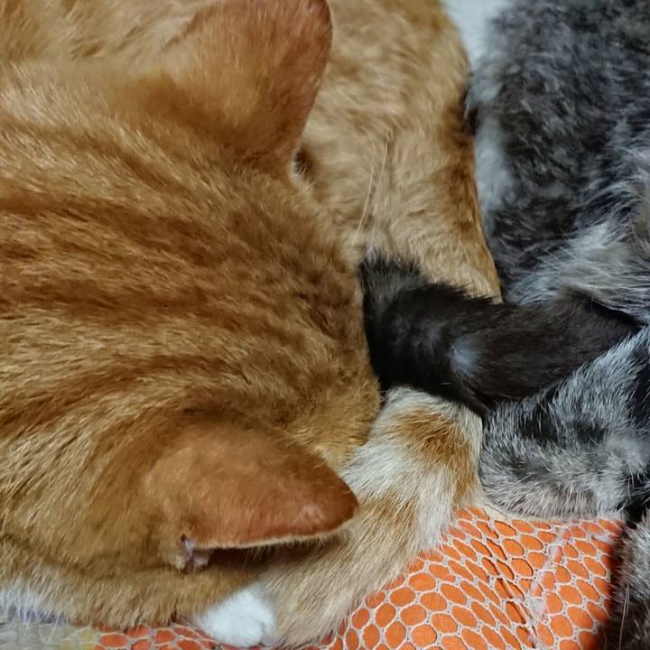 03d3a814 a2c1 4d0b b251 1925fa5a6d15 1573044331950