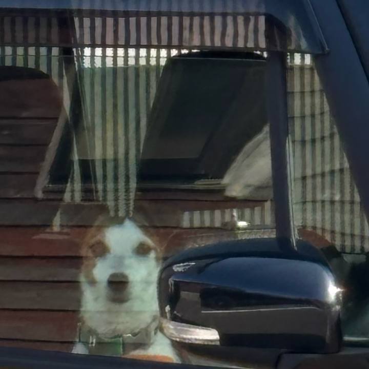 03d3b4d8 21ff 4dd0 b61b 5768e579b14a 1762580527667