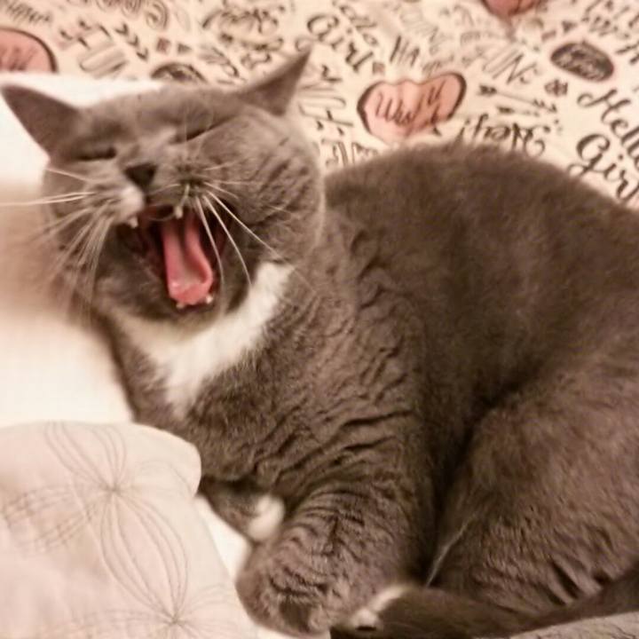 03d3b95b 3160 4504 9ef9 634bc782fea8 1579436530324