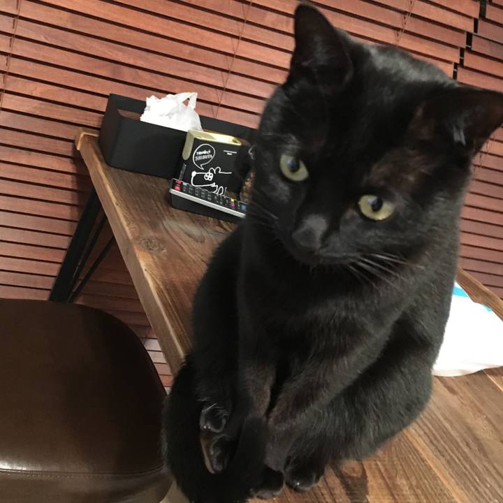 03d3c268 b542 47a8 a346 fa3a62b38369 1518090058743