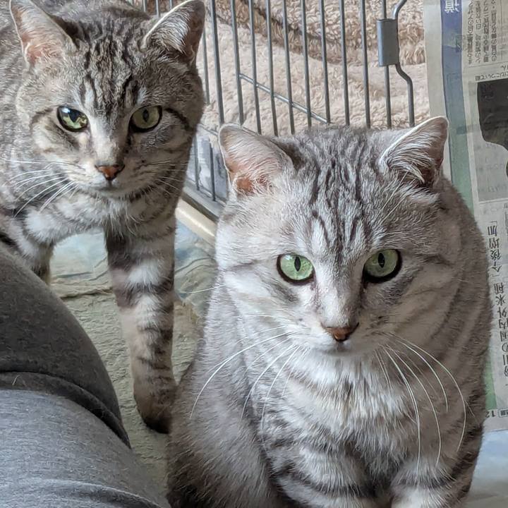 03d3cac2 f578 4dc0 bcea 4693f72ca256 1742559550509