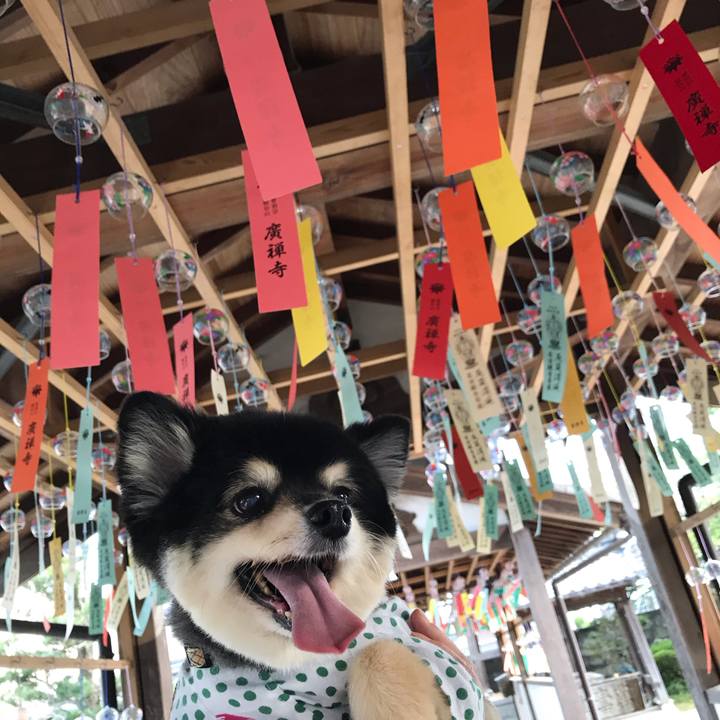 03d3f547 47f5 4349 8107 73fdc67fb59b 1597157664845