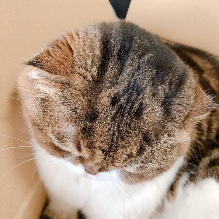 03d410e7 ad3d 4511 ab07 fb0284e23fa4 1557028945185