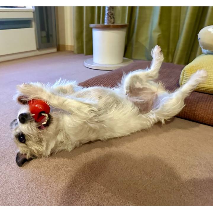 03d41f80 f99f 41e0 8ac5 3de0e3b6e94b 1738098540474