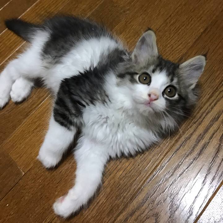 03d42275 2b52 4a59 a785 0470bbde23b5 1572927055994