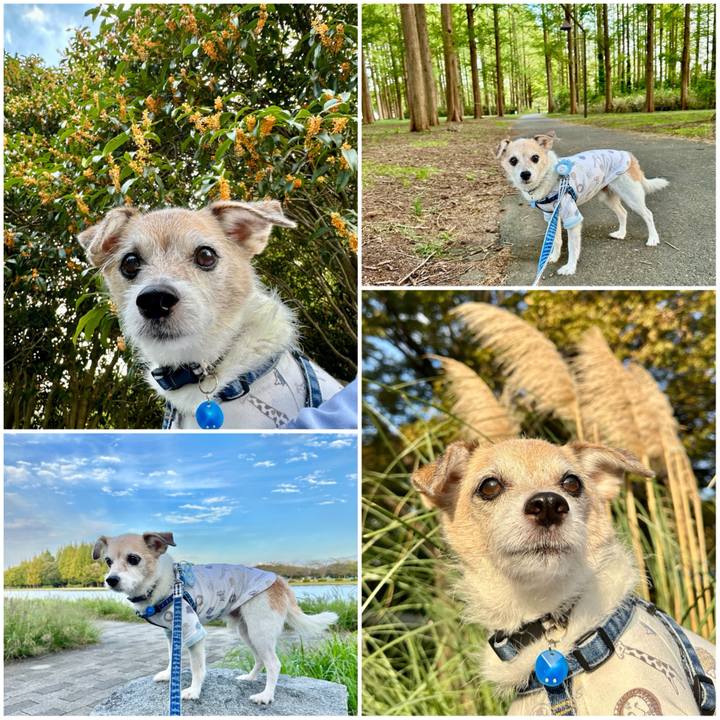 03d49164 c217 4a60 9f4d 5d6df206510d 1697278562350