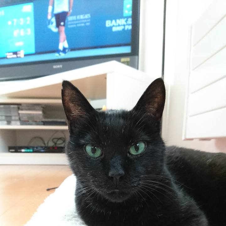 03d49183 7cf0 4234 bc25 19c40e8783de 1552298105256