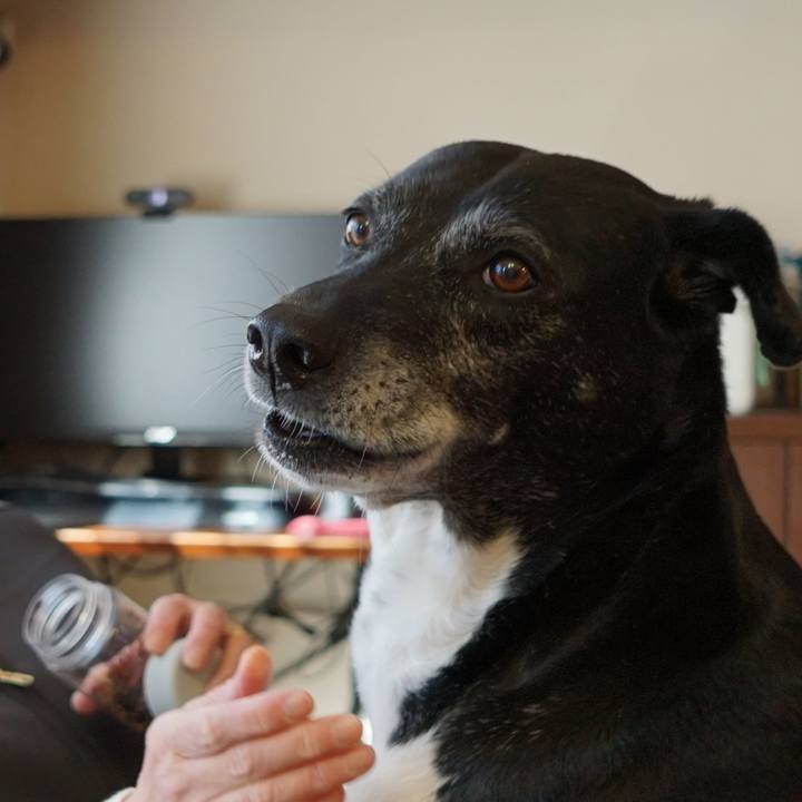 03d49839 9392 4adf a755 18003817611e 1773447820798