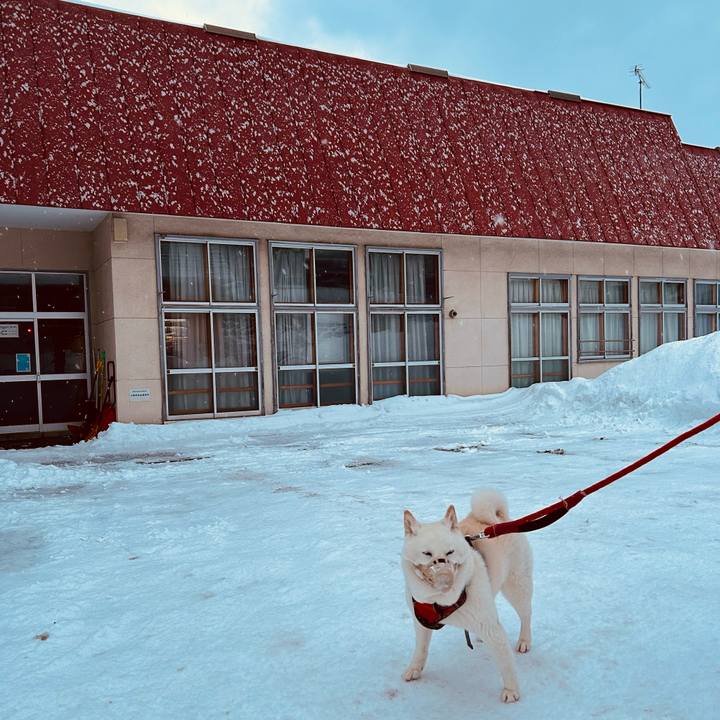 03d4a664 63ad 4ee0 9d90 60f64573c500 1768602068893