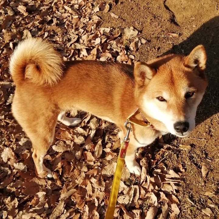 03d4c36c eb6d 45e0 828a 111cfd48f329 1610606487926