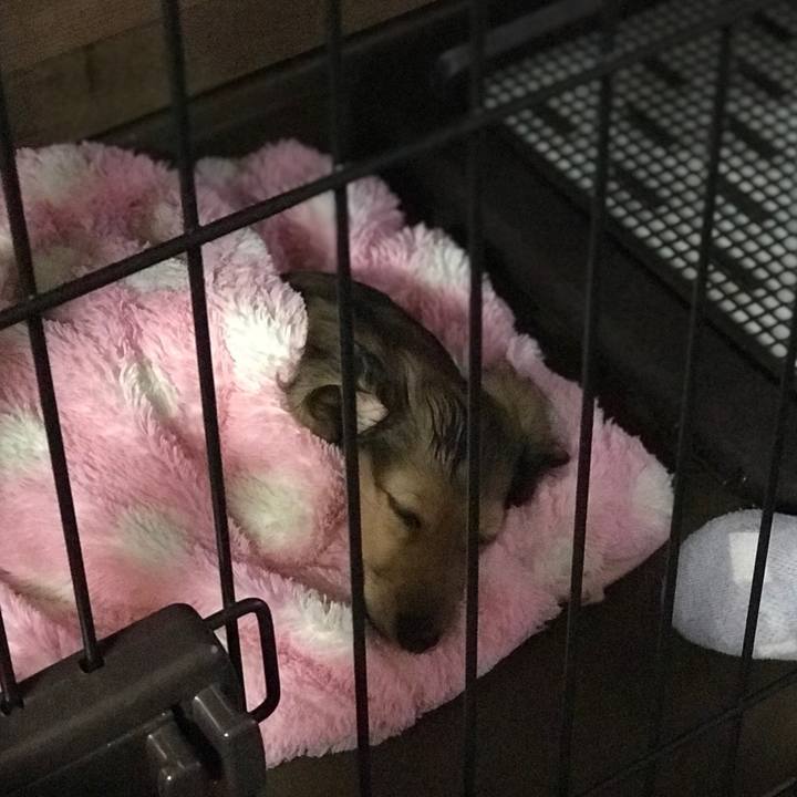 03d4e708 bb14 4876 9fb8 2df32efb240e 1611567287477