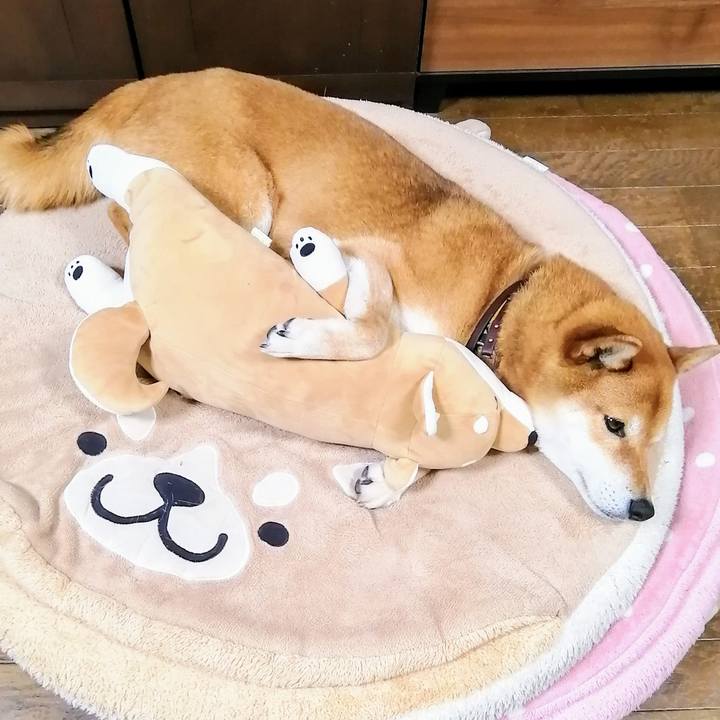 03d4f6ec 8f52 4475 bcc3 b95c9476467a 1617970946922