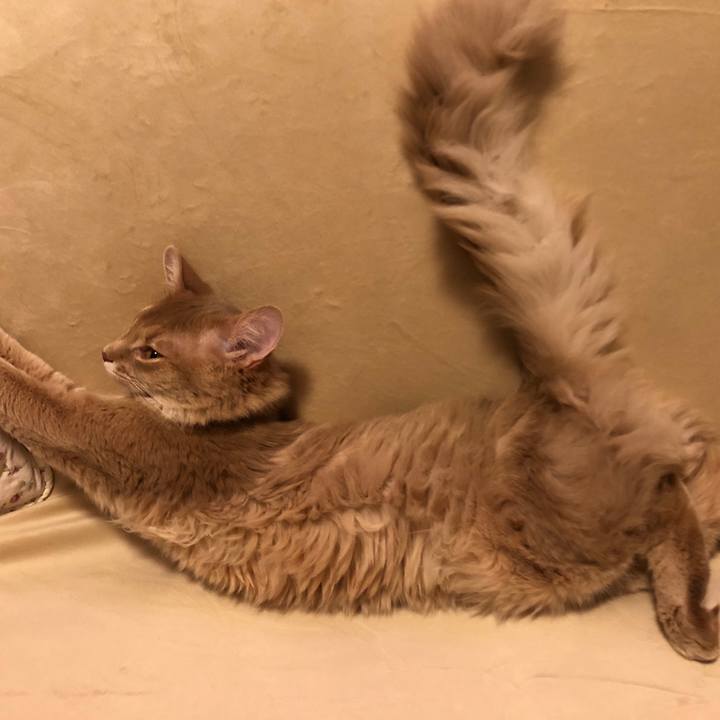 03d508c6 8a91 4151 92cb ecb062d11d98 1556557272620