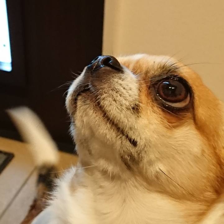 03d543c3 3da0 4c7e 9da1 49a6f1e54647 1619742823340