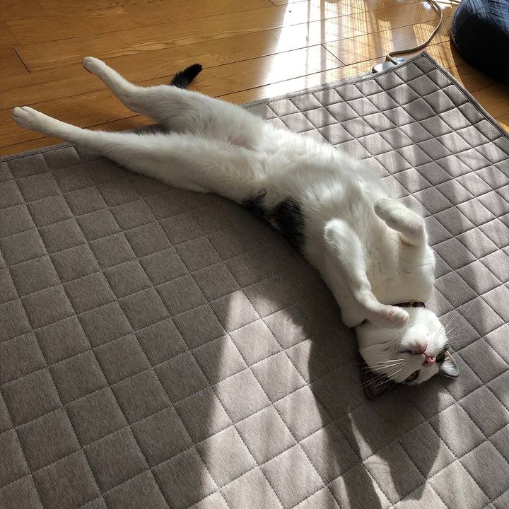 03d5459c 62e3 439e 82a2 053a817f29b0 1640317687985