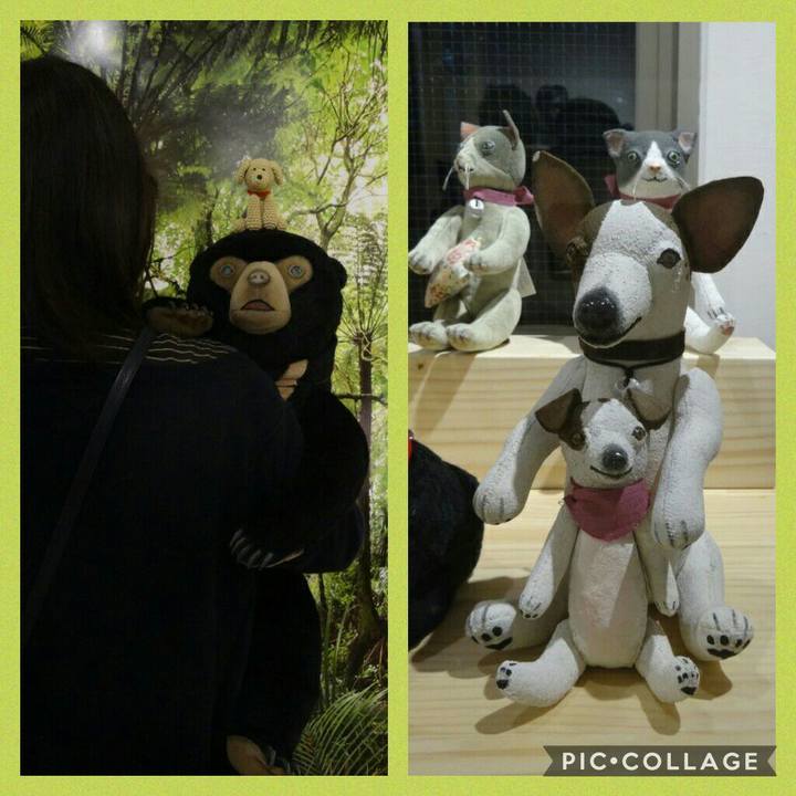 03d5461e cfc6 4dfd a241 69b678641af6 1575379236044