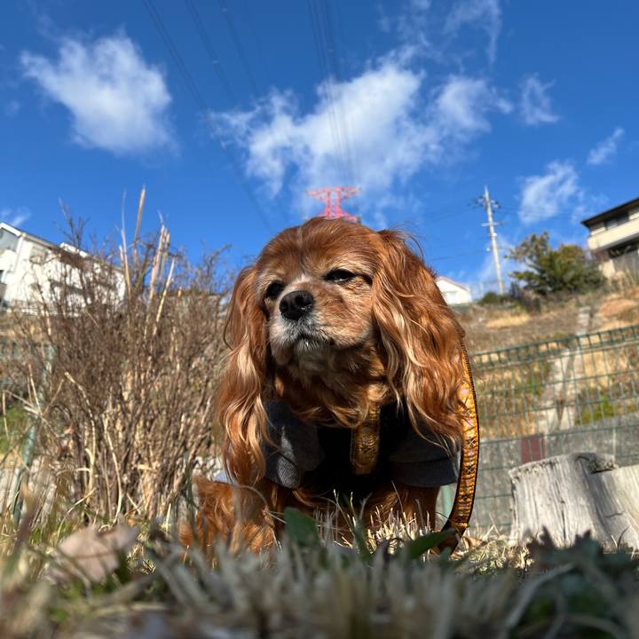 03d5cac5 ac99 4db9 9777 06a566485128 1773101726594