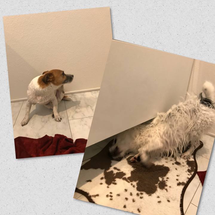 03d5cc6d dca9 4e88 be33 8b86f9b7aa5f 1522803579910