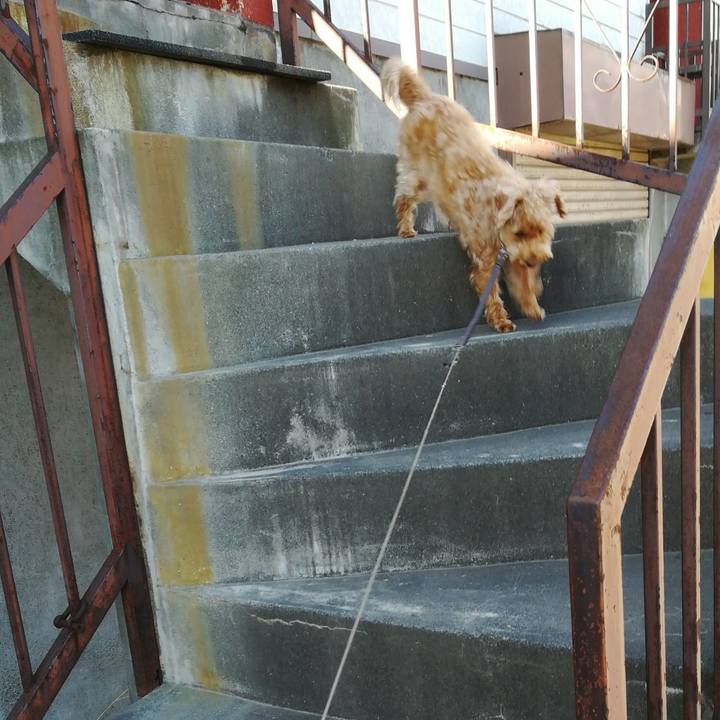 03d5eae9 49ec 42bc aa72 881313d0a278 1527141168243