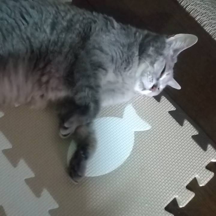 03d5f10e b164 4383 838a b43e1149a2a8 1689202460351